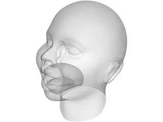 Baby Head 3D Model preview