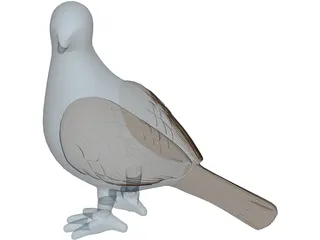 Pigeon 3D Model preview