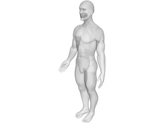 Man 3D Model preview