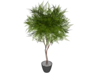 Ash Tree 3D Model preview