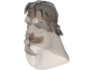 Face 3D Model preview