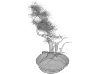 Bonsai Tree 3D Model preview