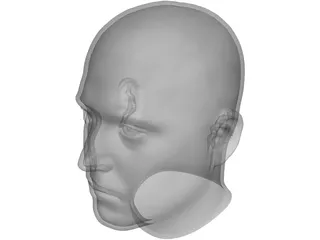 Human Male Scanned Head 3D Model preview