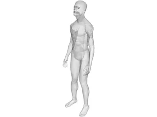 Man Human 3D Model preview