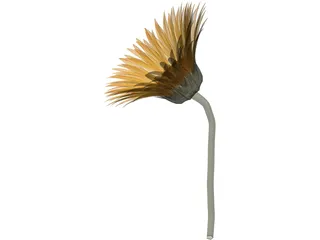 Sunflower 3D Model preview