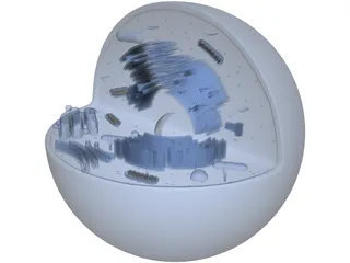 Animal Cell Structure 3D Model preview