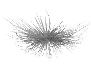 Bacteria 3D Model preview
