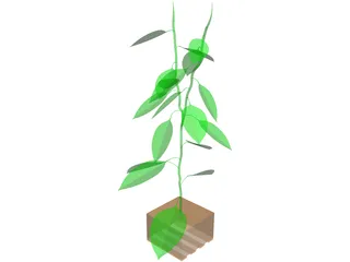 Bell Pepper Plant 3D Model preview