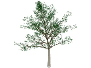 Tree 3D Model preview