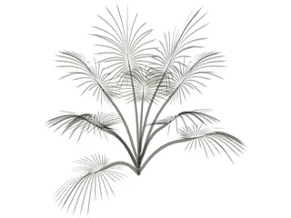 Tree 3D Model preview