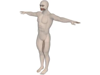 Man 3D Model preview