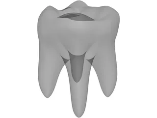 Tooth 3D Model preview