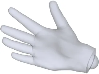 Human Hand 3D Model preview