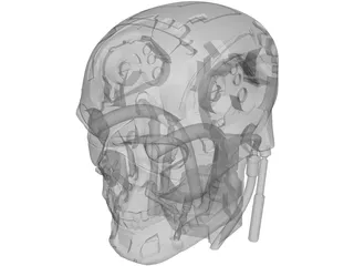 T800 Head 3D Model preview