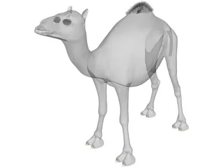 Camel 3D Model preview