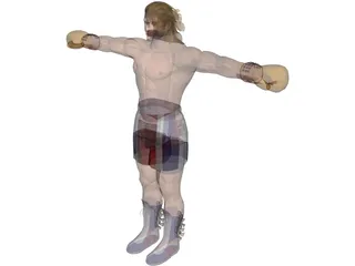 Boxer Steve 3D Model preview