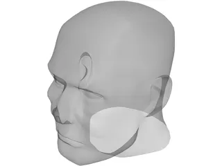 Male Human Head 3D Model preview