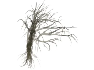Dry Old Tree 3D Model preview