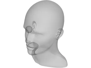 Human Head and Neck 3D Model preview