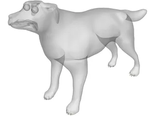 Dog 3D Model preview