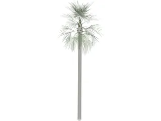 Tree Palm Fan 3D Model preview