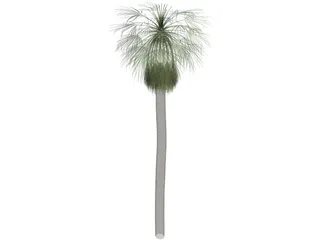 Tree Palm Washingtonia 3D Model preview