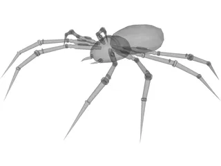 Poison Spider 3D Model preview