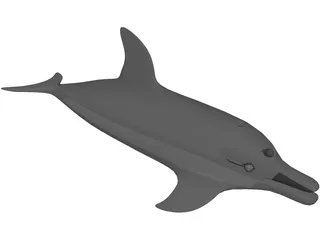 Dolphin 3D Model preview