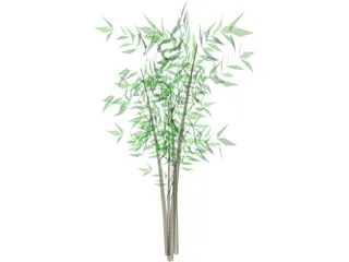 Bamboo Tree 3D Model preview