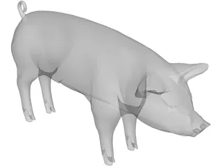 Pig 3D Model preview
