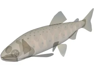 Amago 3D Model preview