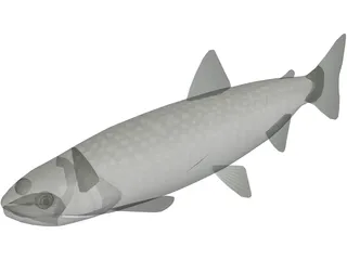 Amemasu 3D Model preview
