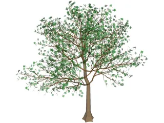 Arboli Tree 3D Model preview
