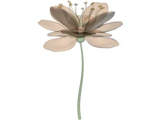 Camellialike 3D Model preview