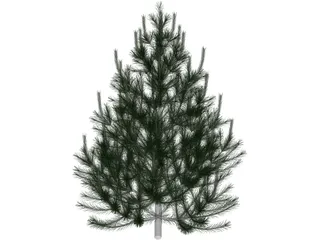 Pine Tree 3D Model preview