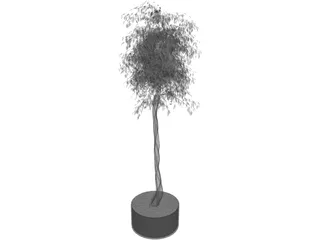 Arbol Tree 3D Model preview