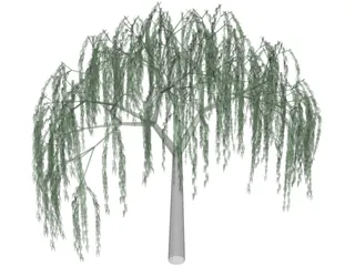 Willow Tree 3D Model preview