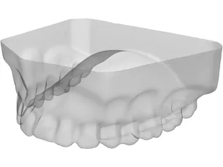 Teeth Upper Surface 3D Model preview