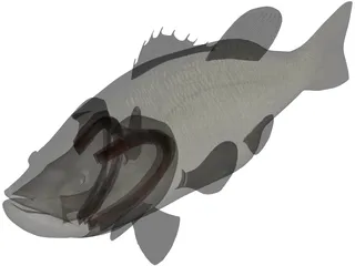 Largemouth Bass 3D Model preview
