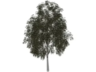 Pine Wood Tree 3D Model preview
