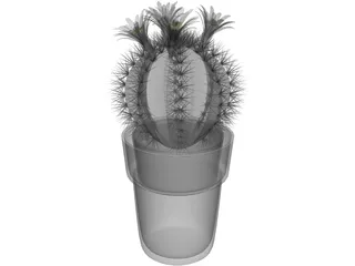 Cactus Pottet Round 3D Model preview