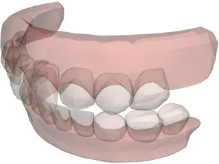 Jaw and Teeth 3D Model preview