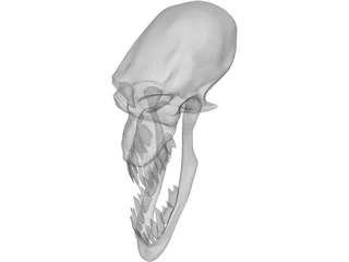 Monster Skull 3D Model preview