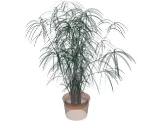 Indoor Plant 3D Model preview
