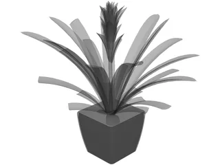 Potted Plant 3D Model preview