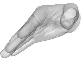 Right Hand Male 3D Model preview