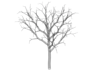 Dead Tree 3D Model preview