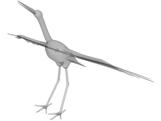 Ciconia Stork 3D Model preview