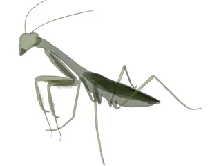 Mantis Praying 3D Model preview