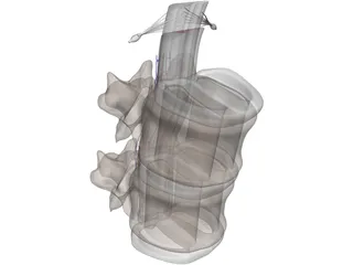 Vertebra 3D Model preview